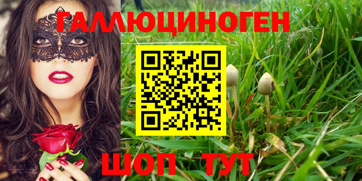 Белогорск  Галлюциногенные грибы MAGIC MUSHROOMS  Вход с VPN  Галлюциногенные грибы ЛСД 